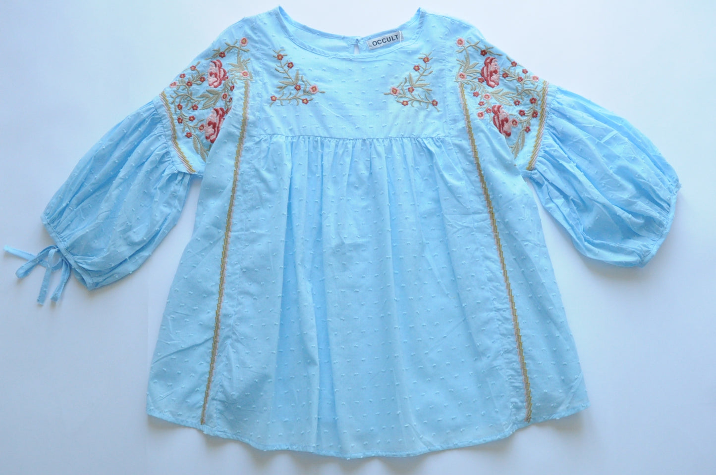 Baby blue embroidered blouse